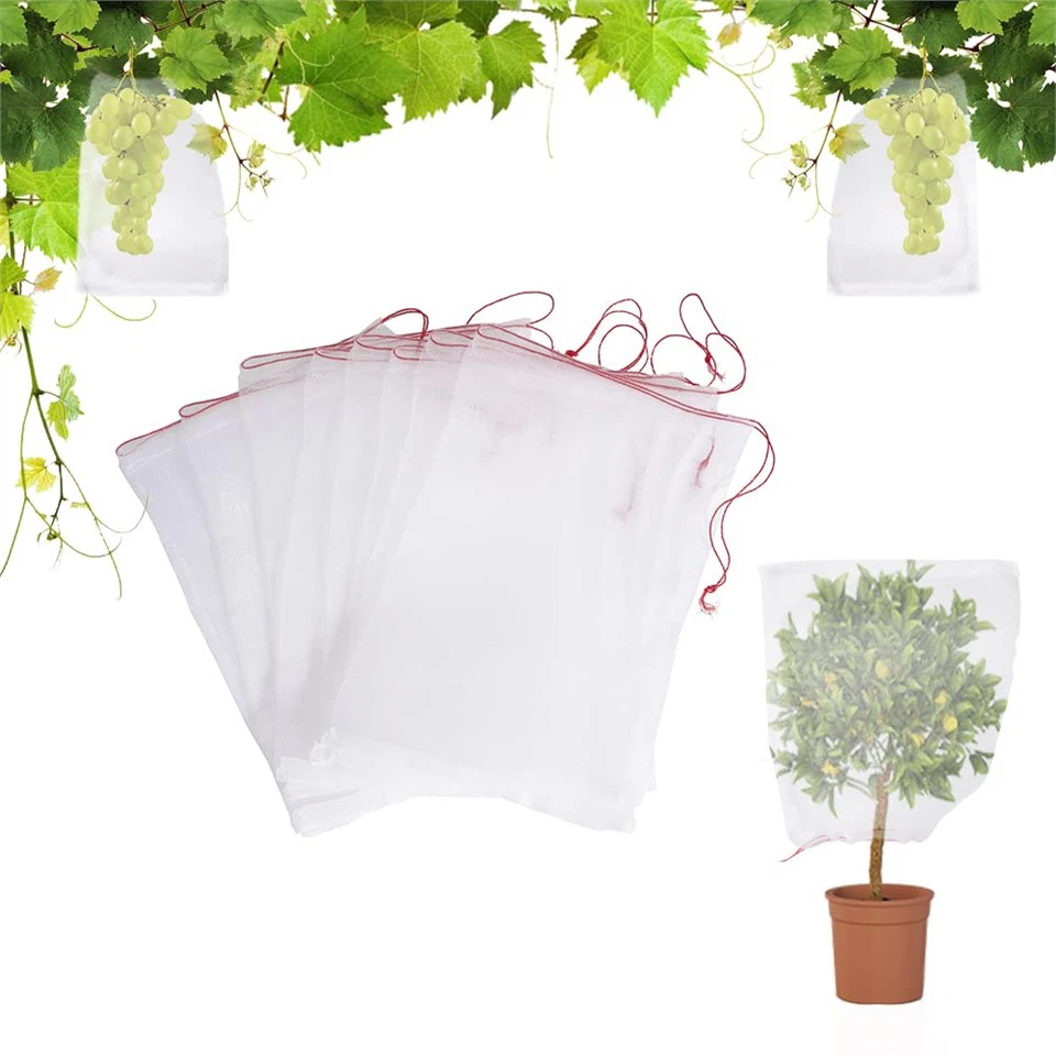 Saci de Cultivare Pentru Pomi Fructicoli